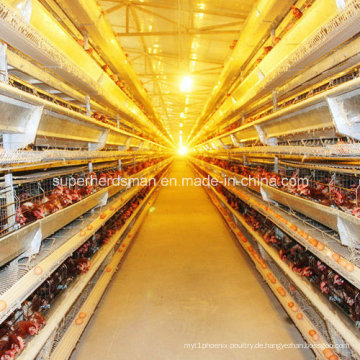 Voller Satz automatische Hühnerkäfige für Schichten Bauernhof